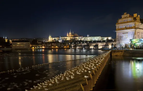 Night, river, home, Prague, Czech Republic, architecture, night, Prague