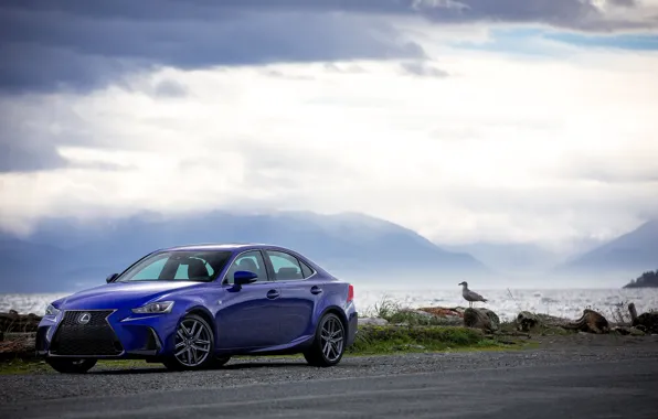 Sea, the sky, Lexus, car, Blue, Lexus, SPORT, Metallic