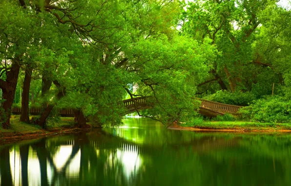 Picture forest, leaves, water, trees, mountains, bridge, nature, Park