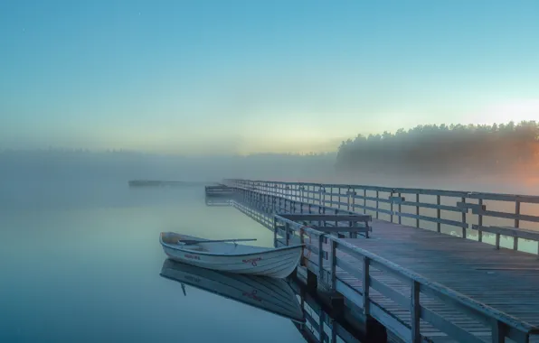 Picture the sky, trees, fog, lake, sunrise, boat, pierce