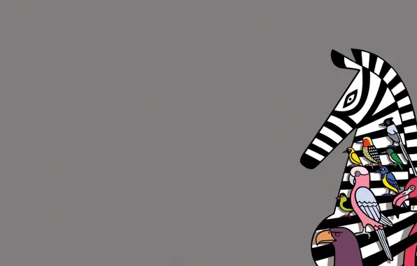 Birds, Zebra, Art, Wallpaper, Minimalism, Takeuma