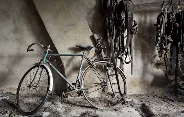 Bike, background, the basement