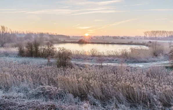 Winter, frost, road, the sky, grass, the sun, clouds, rays