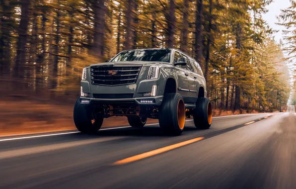 Cadillac, Escalade, tuning, tuning auto, Cadillac Escalade, A Cadillac