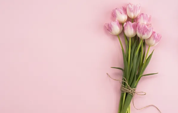Flowers, bouquet, tulips, pink, fresh, pink, flowers, tulips