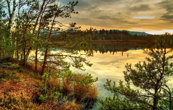 The sky, clouds, trees, nature, river