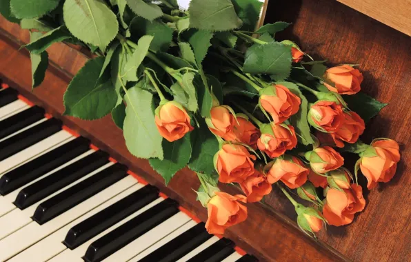 Roses, piano, buds