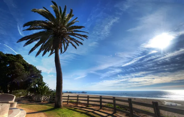 Sea, summer, Palma, coast, promenade, sea, seaside, palm