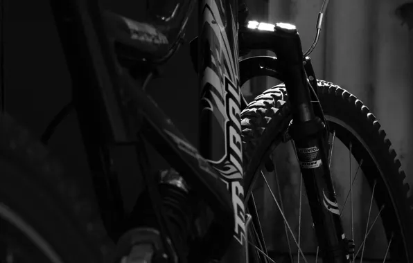 Bike, Tribal, Black and white
