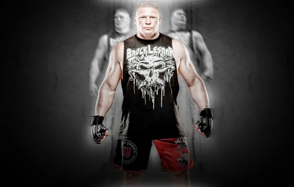 Picture fighter, WWE, UFC, Brock Lensar