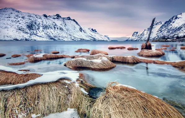 Ice, winter, grass, water, snow, landscape, mountains, nature