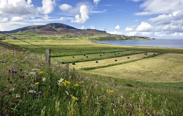Field, landscape, the fence