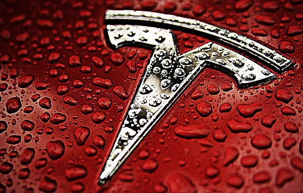 Silver, red, logo, Tesla Motors