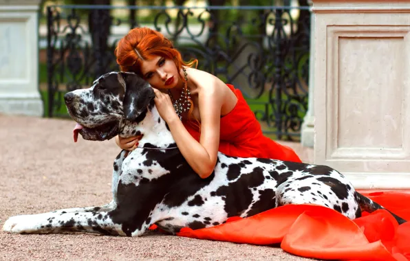 Picture girl, style, mood, model, dog, makeup, red, red dress