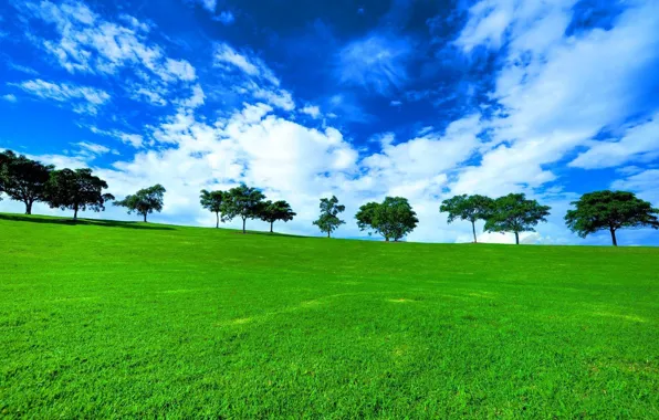 Greens, field, grass, trees, landscape, nature, view