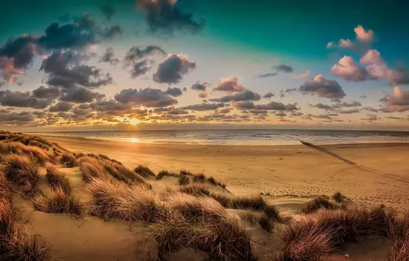 Belgium, West-Flanders, Lombartzyde