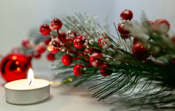 Winter, branches, berries, table, flame, holiday, candle, branch
