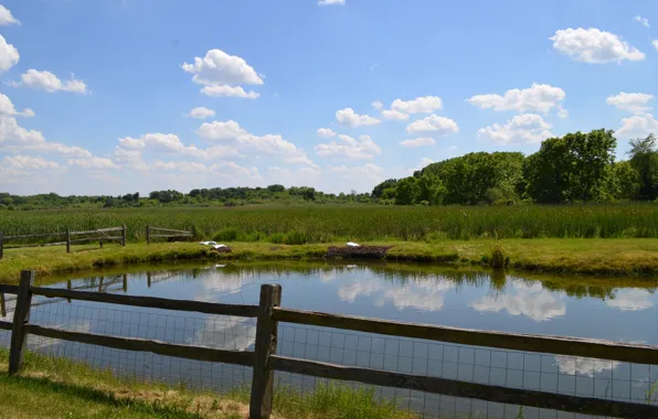 Picture Nature, Pond, Field, Nature, Pond, Fields