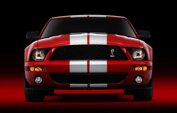 Shelby, GT500, Cobra