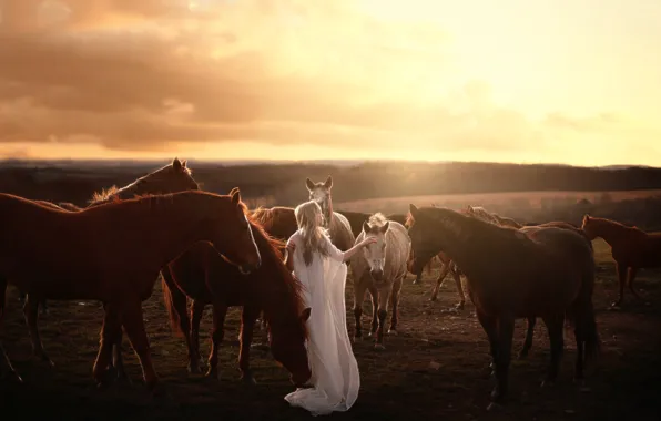 Picture girl, horse, Aleah Michele, Stay wild with me