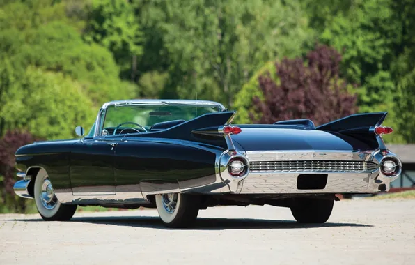 Picture Eldorado, Cadillac, Eldorado, classic, rear view, 1959, Cadillac, Biarritz