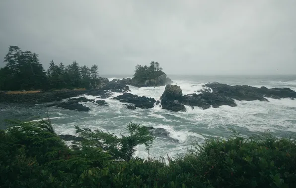 Wave, beach, rocks, rainy, the troubled sea