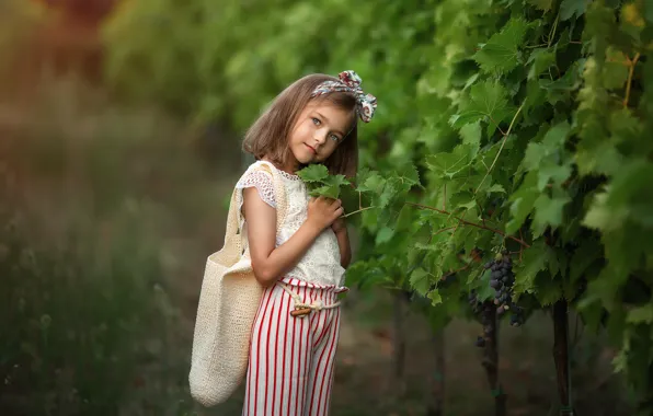 Picture portrait, grapes, girl