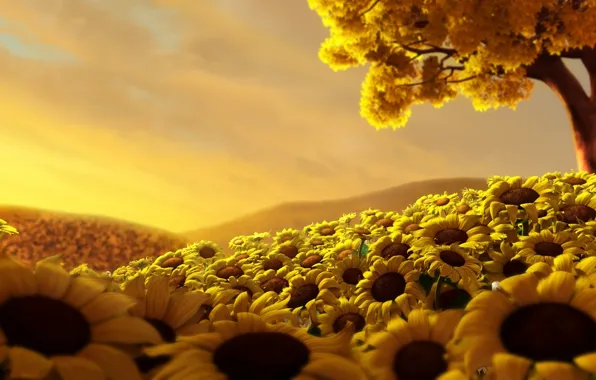 Field, the sky, tree, Sunflowers
