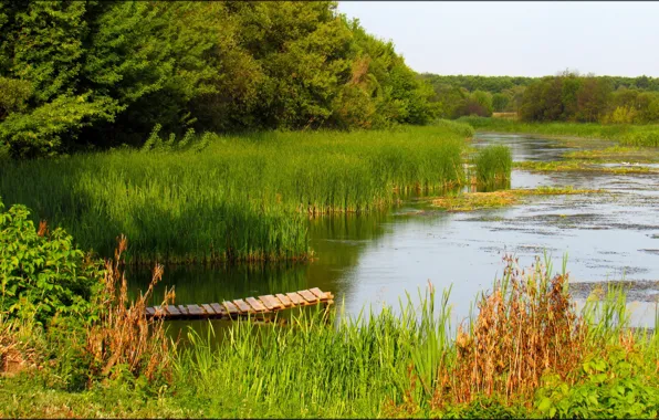Greens, River, The bridge