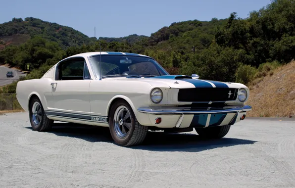 Picture Mustang, Ford, Shelby, Prototype, Mustang, Ford, Shelby, 1965