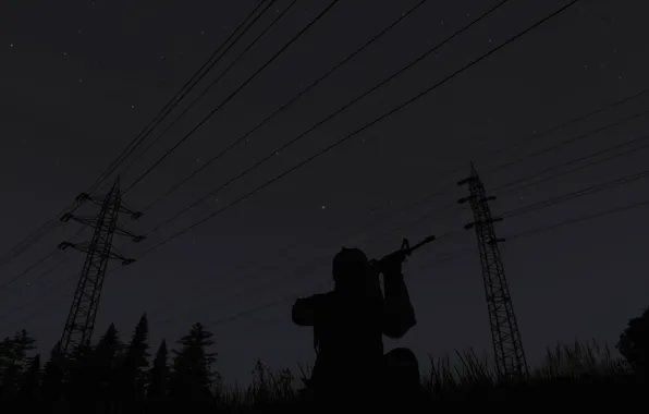The sky, grass, stars, trees, night, weapons, people, silhouette