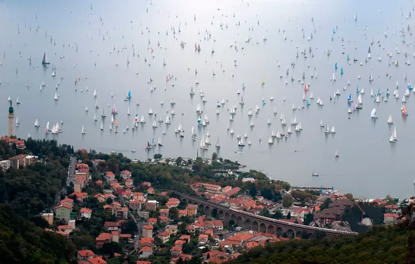 Italy, regatta, Trieste, Barcola 2014
