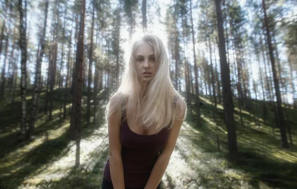 Picture forest, summer, look, girl, trees, face, dawn, green