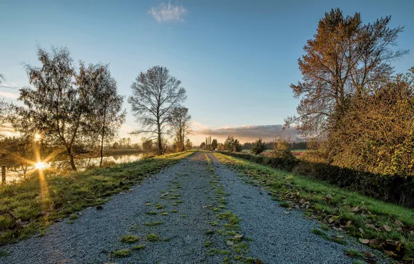 Road, the sun, trees, river