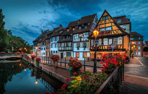 Picture flowers, the city, river, France, home, the evening, lighting, lights