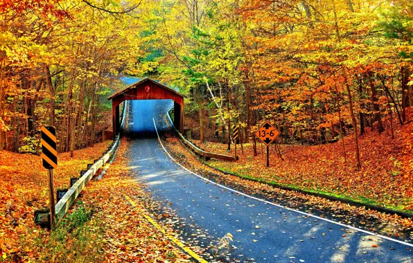 Picture nature, autumn, highway, cambron covered bridge