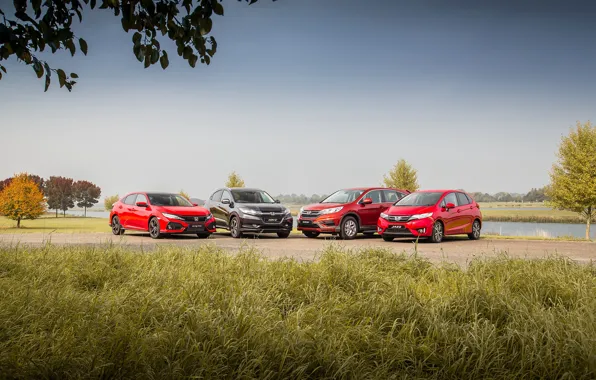 Auto, trees, nature, Honda, Fit, CR-V, HR-V, Civic Hatchback
