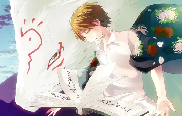 Cat, anime, art, guy, Natsume Yuujinchou, Book of friendship Natsume, The Sensei