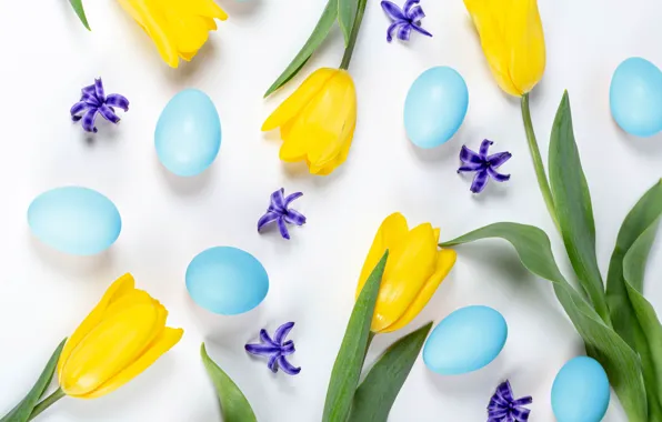 Flowers, eggs, Easter, tulips, white background, eggs, yellow tulips