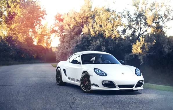 Porsche, Cayman, white, front
