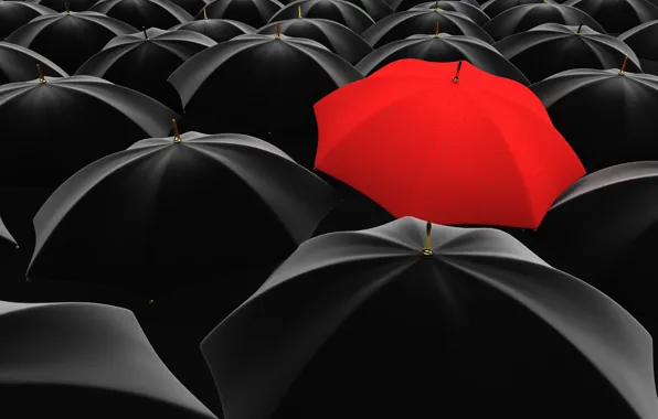 Picture red, black, umbrella, many