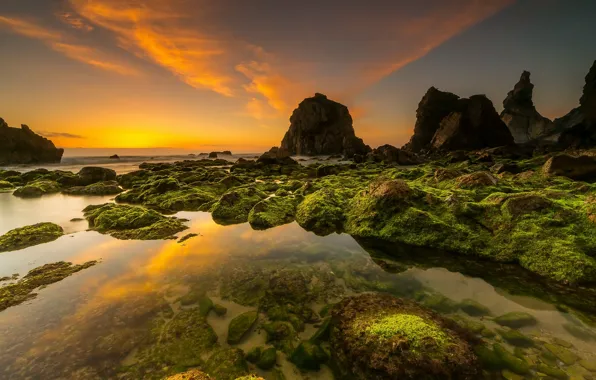 Sea, sunset, rocks, shore