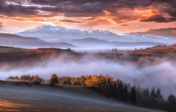 Autumn, mountains, fog, morning, Carpathians
