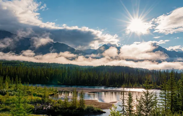 Picture forest, the sun, light, mountains, view, pond