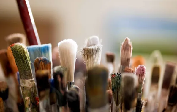 Macro, brush, a lot, brush