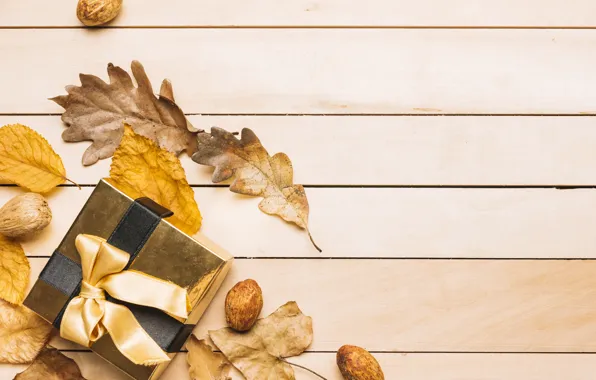 Autumn, leaves, background, tree, gift, colorful, tape, nuts