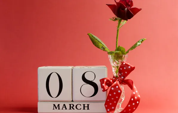Background, rose, vase, red, bow, March 8, ribbon