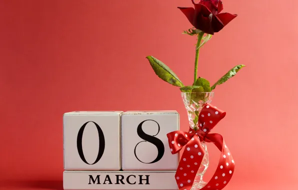 Red, background, roses, vase, bow, March 8, ribbon