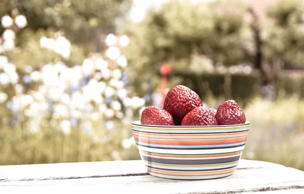 Picture Macro, Flowers, Table, Strawberry, Plate