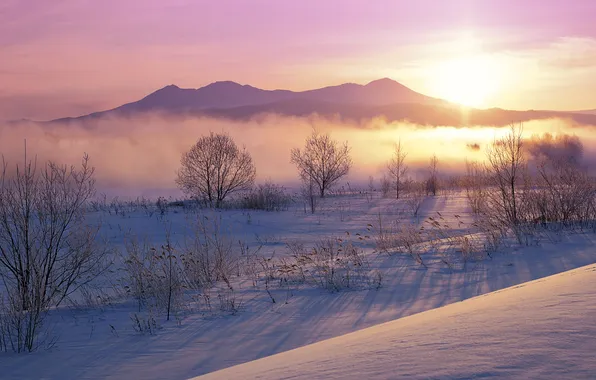 Picture winter, snow, sunset, mountains, dawn